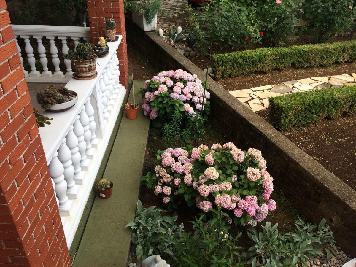 Apartment Ana Rijeka Ngoại thất bức ảnh